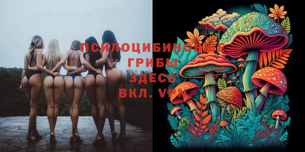 марки lsd Алзамай
