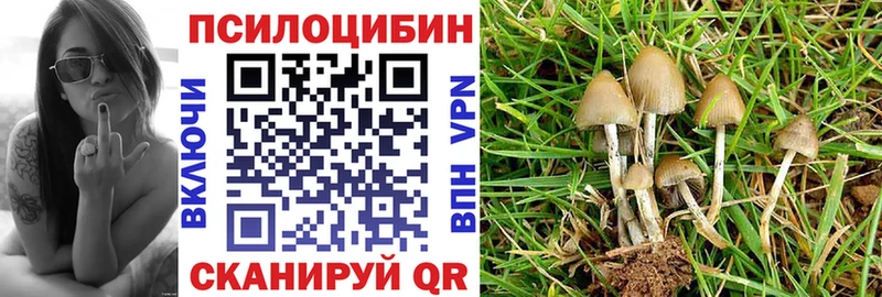 купить   Бикин  Галлюциногенные грибы мухоморы 